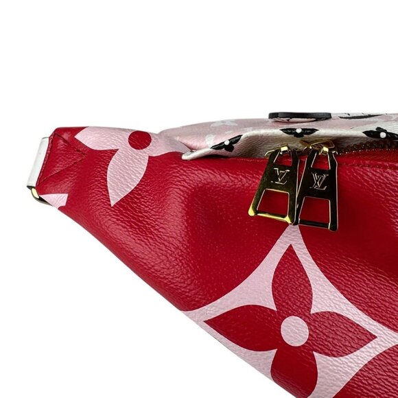 LOUIS VUITTON Giant Monogram Bum Bag Body Bag Waist Bag - Picture 13 of 14